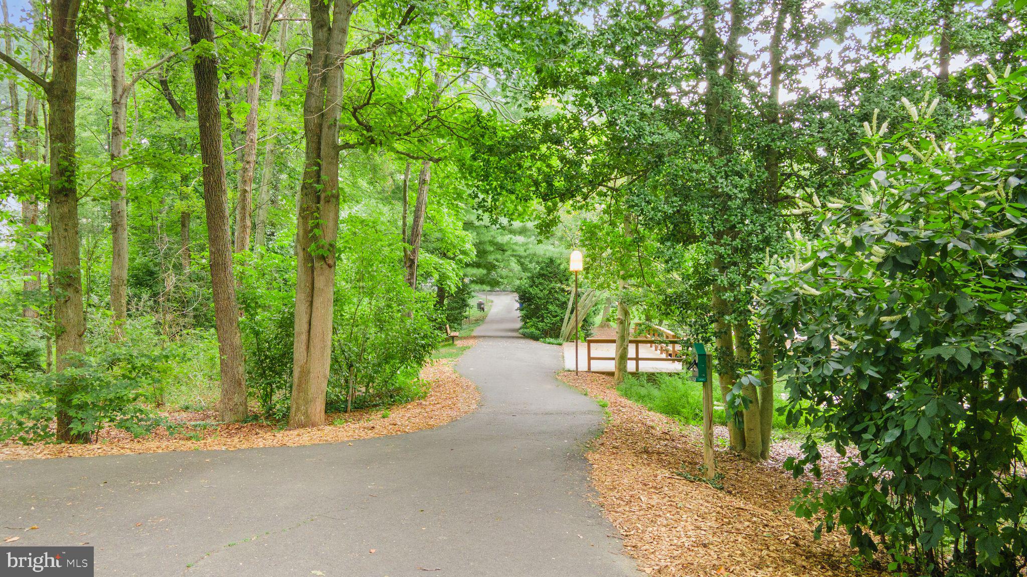 11428 Orchard Lane Reston, VA 20190 - Photo 45 of 59
