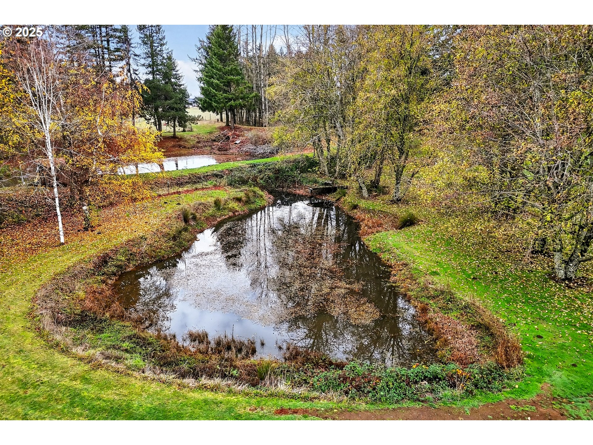 37902 Southeast Porter Road Estacada, OR 97023 - Photo 45 of 48 a view of a yard with large trees