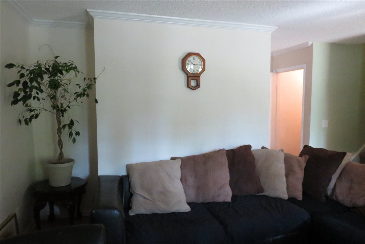 5114 McCormick Road Durham, NC 27713 - Photo 16 of 25 Photo 16