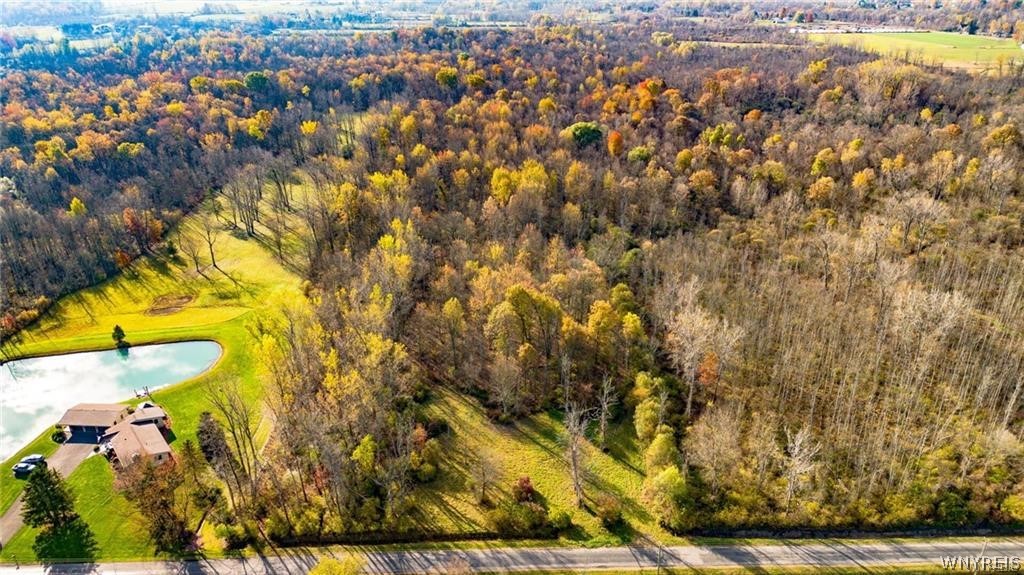 10525 Cedar Road Clarence, NY 14032 - Photo 2 of 3