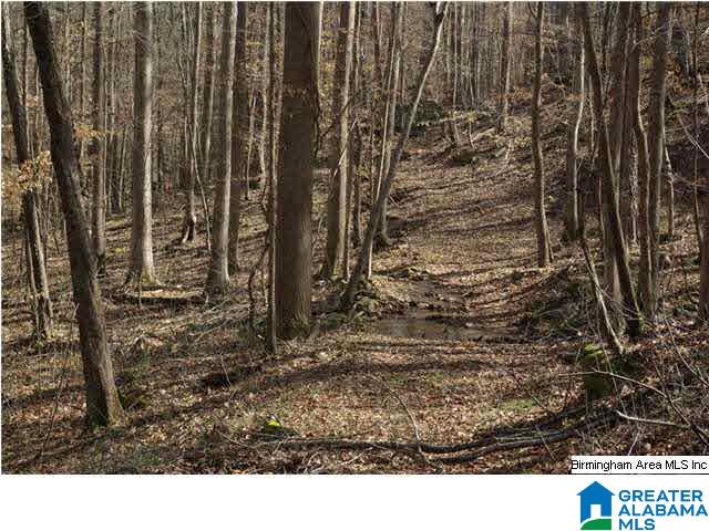 4 Horton Mill Road, Unit 5 Cleveland, AL 35049 - Photo 8 of 28