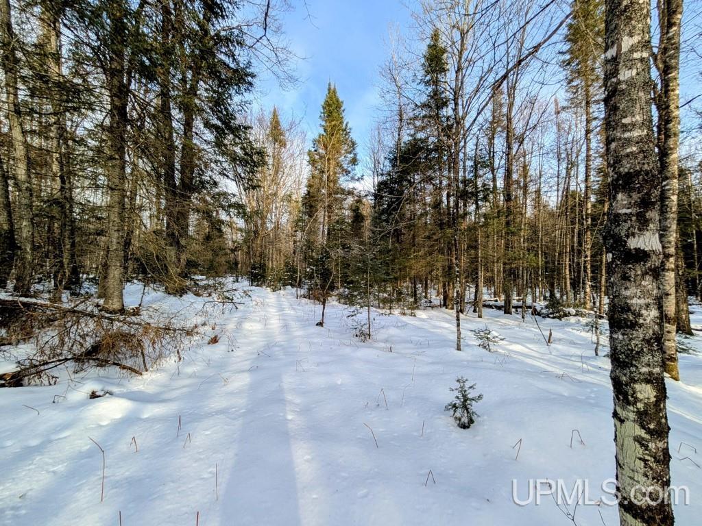 4500 Rd Watersmeet Mi 49969 Road Trout Creek, MI 49967 - Photo 6 of 17