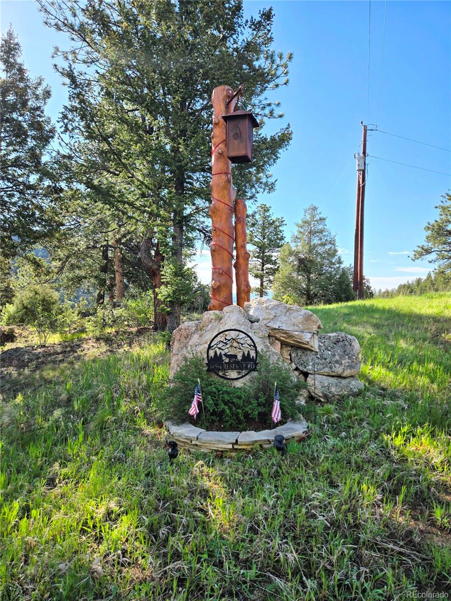 14514 Reserve Road Pine, CO 80470 - Photo 29 of 31 a view of a garden