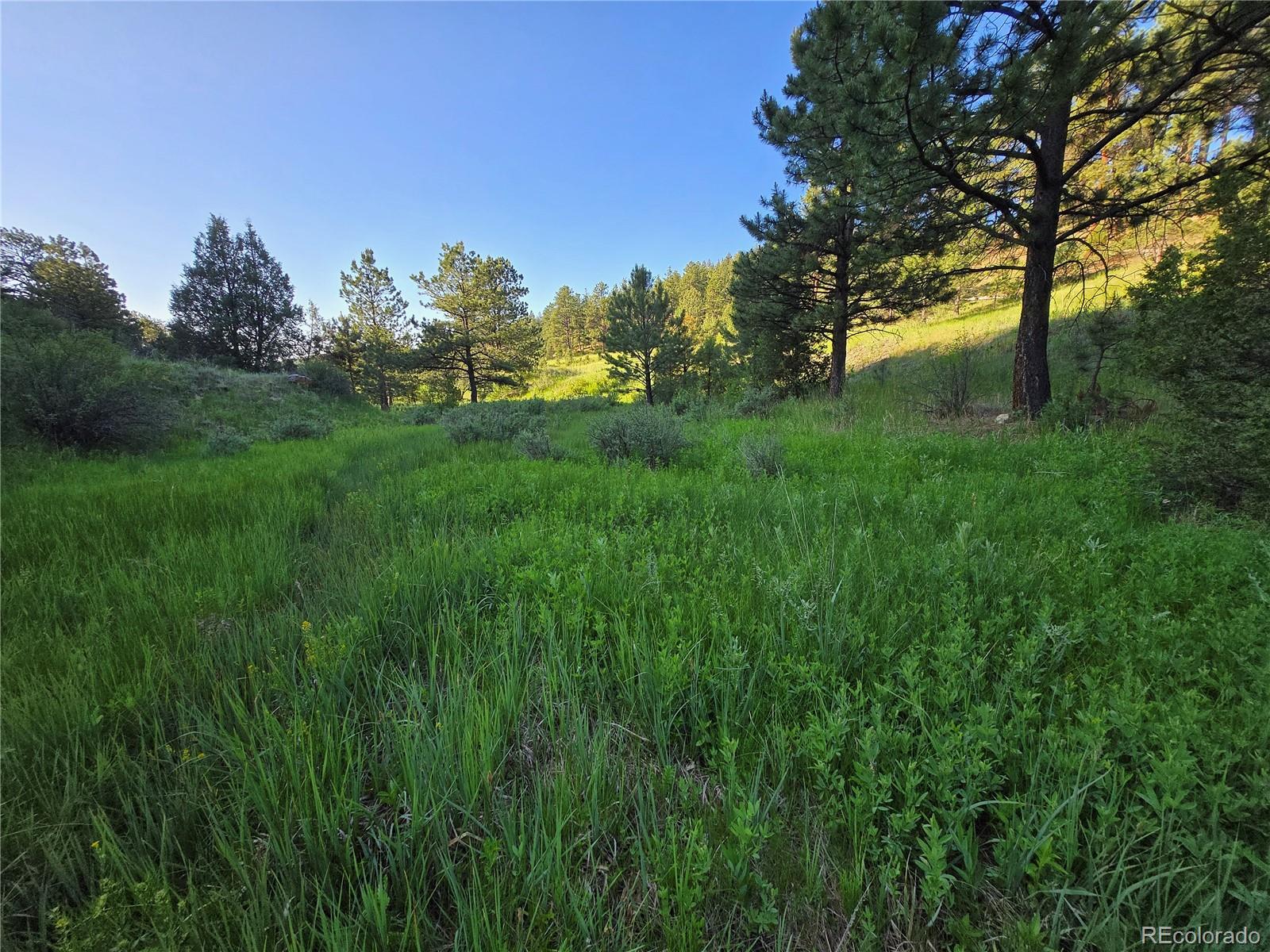 14514 Reserve Road Pine, CO 80470 - Photo 4 of 31 a view of a city with lush green forest