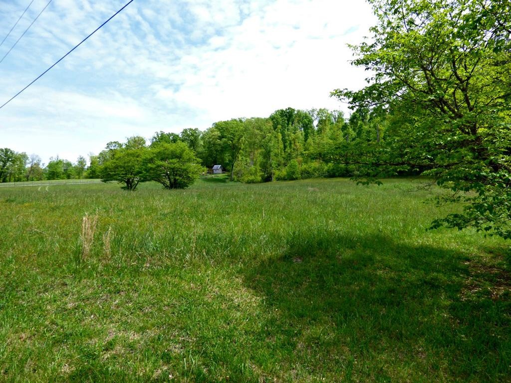 59 Camellia Road Newport, TN 37821 - Photo 8 of 13 Gallery Image 8
