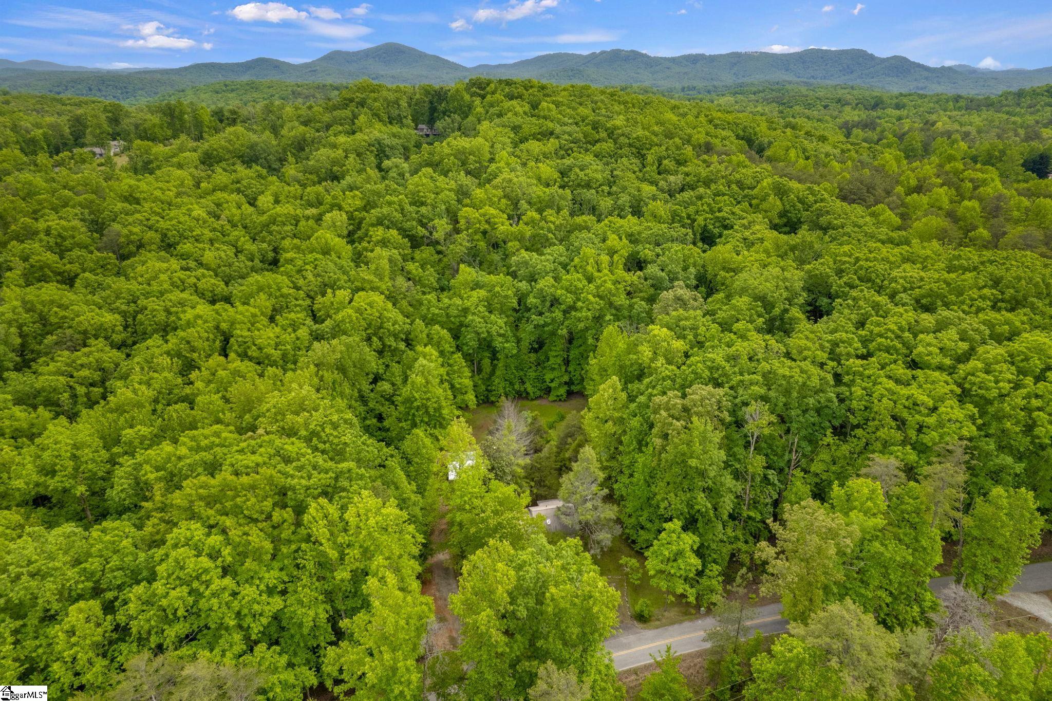 437 West Gate Road, Unit 435 & 437 W Pickens, SC 29671 - Photo 34 of 50