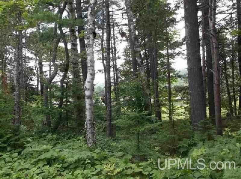 4 B Kayleigh Lane Mohawk, MI 49950 - Photo 9 of 14