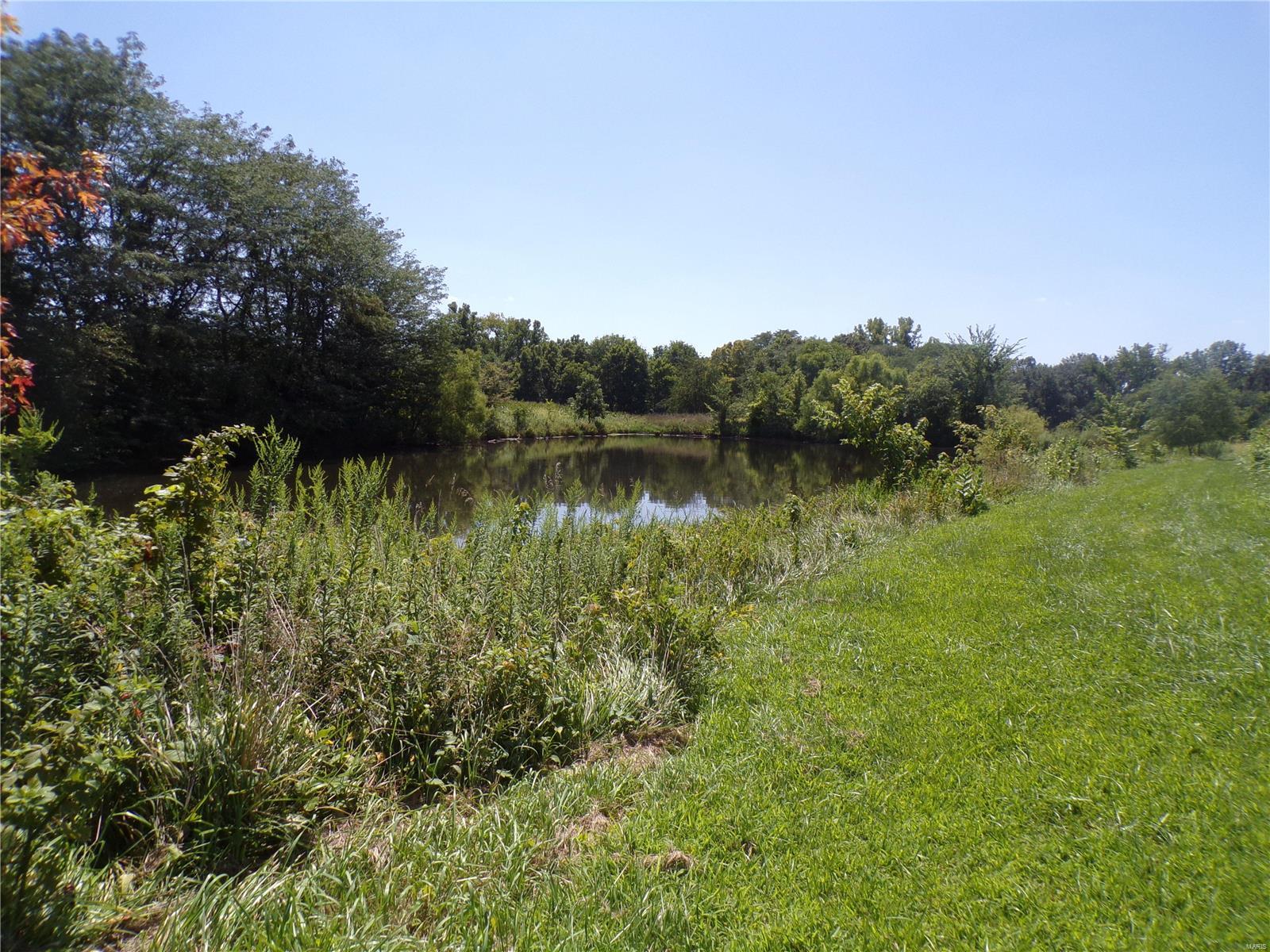 17454 Sullivan Road Chesterfield, IL 62630 - Photo 4 of 15