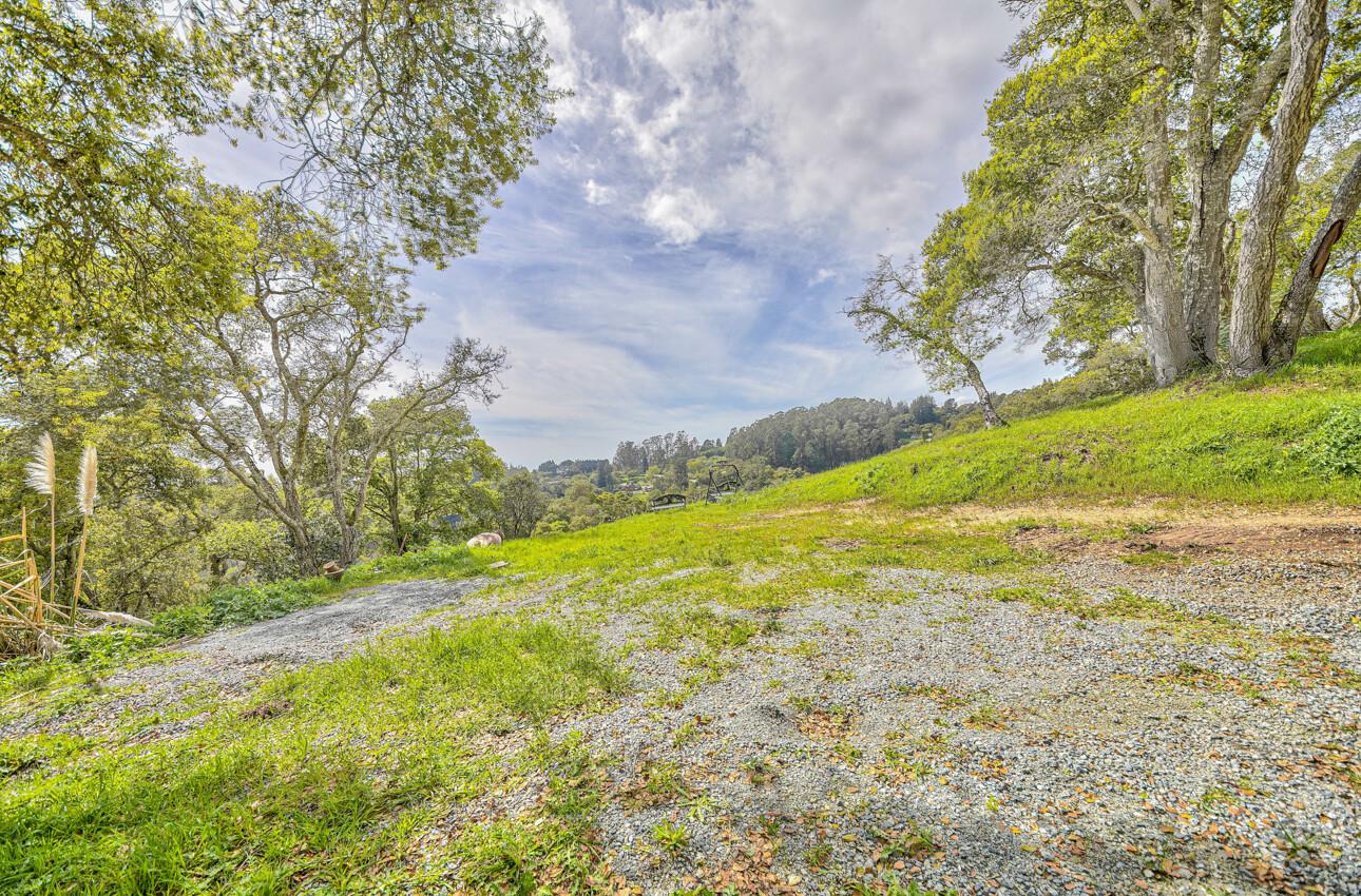 420 Yellowbrick Road Watsonville, CA 95076 - Photo 20 of 23 a view of a yard with an trees