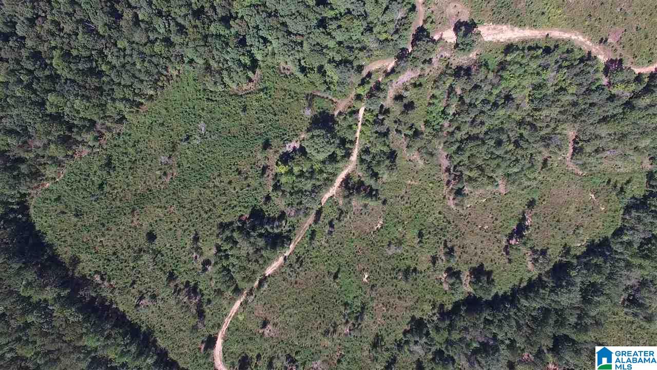 0 Jackson Trail, Unit 140 ACRES Altoona, AL 35952 - Photo 10 of 50