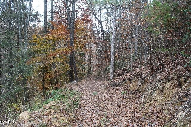 IMG_7617 (640x427)