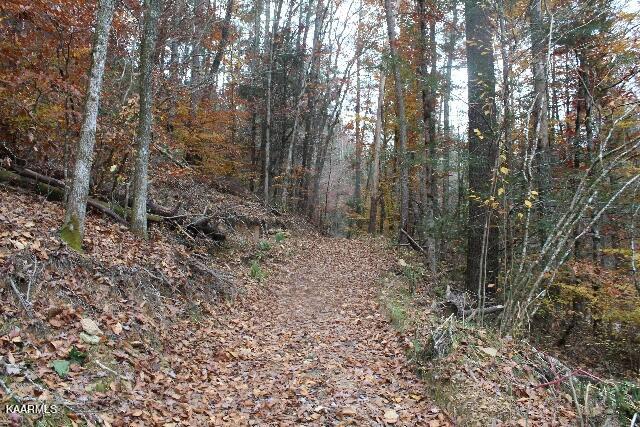 IMG_7609 (640x427) (2)