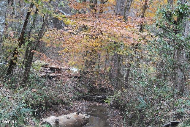 1559 Spring Creek Road Reliance, TN 37369 - Photo 11 of 14 IMG_7626 (640x427)