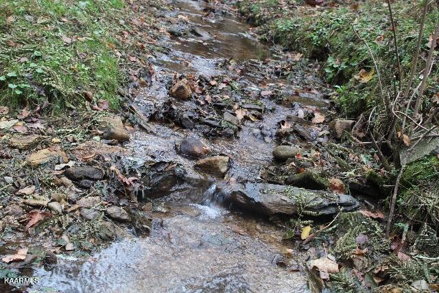 1559 Spring Creek Road Reliance, TN 37369 - Photo 12 of 14 IMG_7629 (640x427)