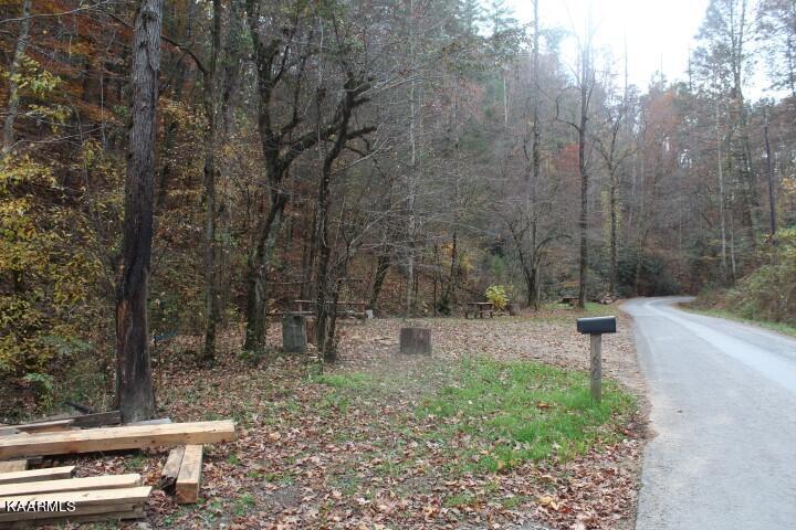 1559 Spring Creek Road Reliance, TN 37369 - Photo 14 of 14 IMG_7605 (Small)