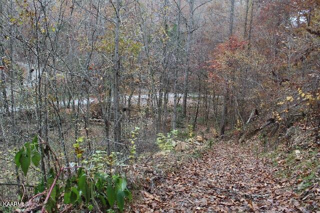 IMG_7610 (640x427)