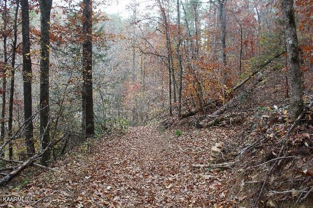 IMG_7611 (640x427)
