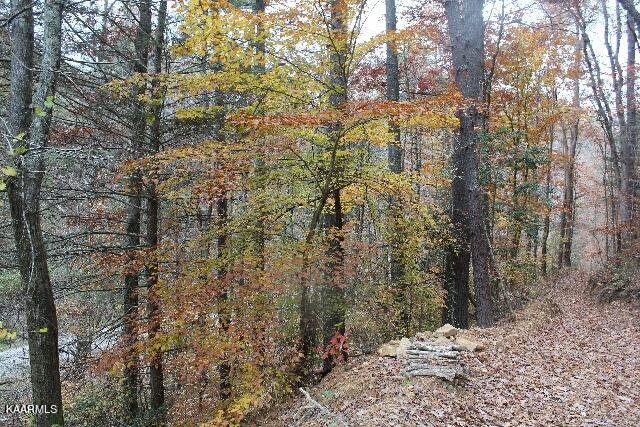 IMG_7619 (640x427)