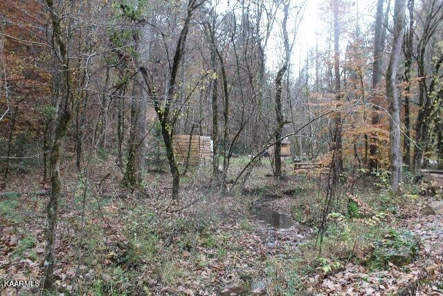 IMG_7620 (640x427)
