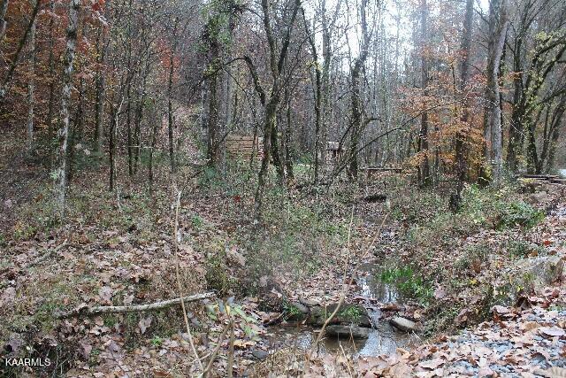 1559 Spring Creek Road Reliance, TN 37369 - Photo 8 of 14 IMG_7621 (640x427)
