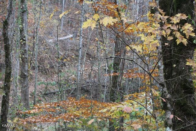 1559 Spring Creek Road Reliance, TN 37369 - Photo 10 of 14 IMG_7623 (640x427)
