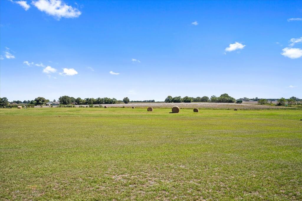 3281 Cumbie Road Newton, AL 36352 - Photo 49 of 54 Gallery Image 49
