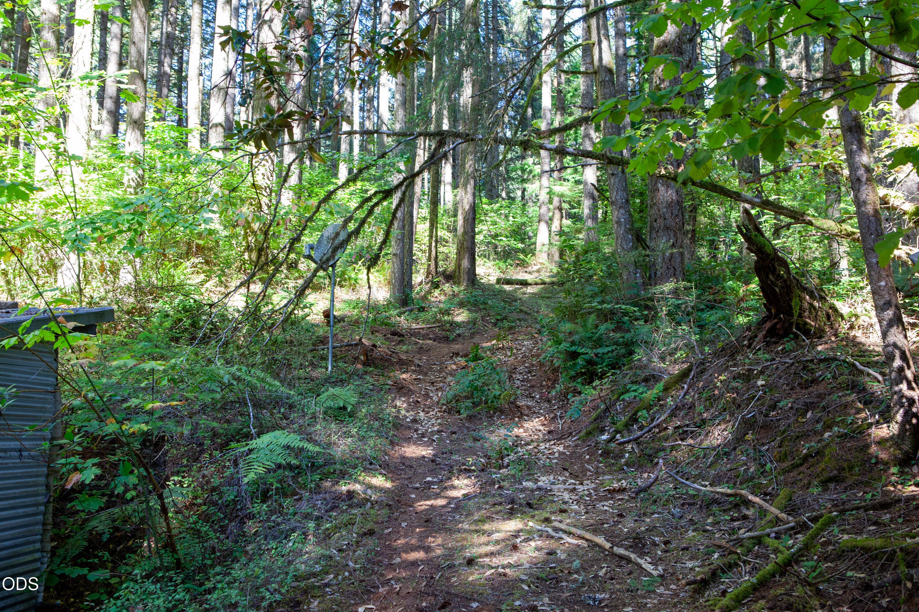 24331 Bolton Hill Road Veneta, OR 97487 - Photo 43 of 47 Gallery Image 43