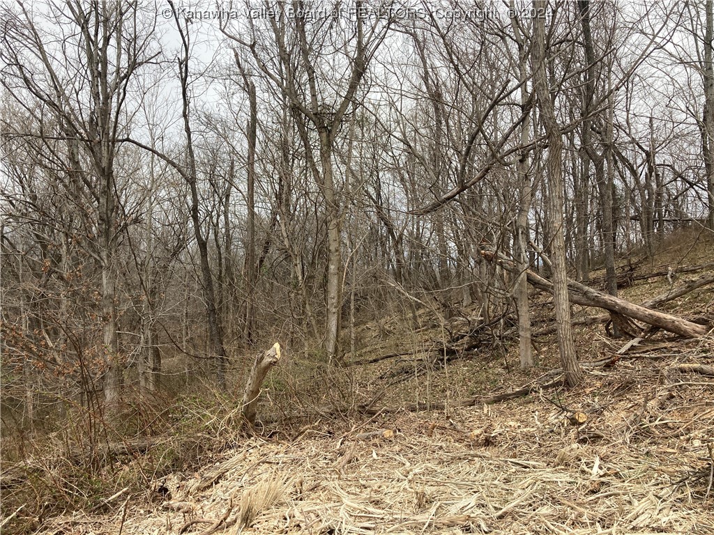 0 Redmond Ridge Road Gallipolis Ferry, WV 25515 - Photo 4 of 10 Gallery Image 4