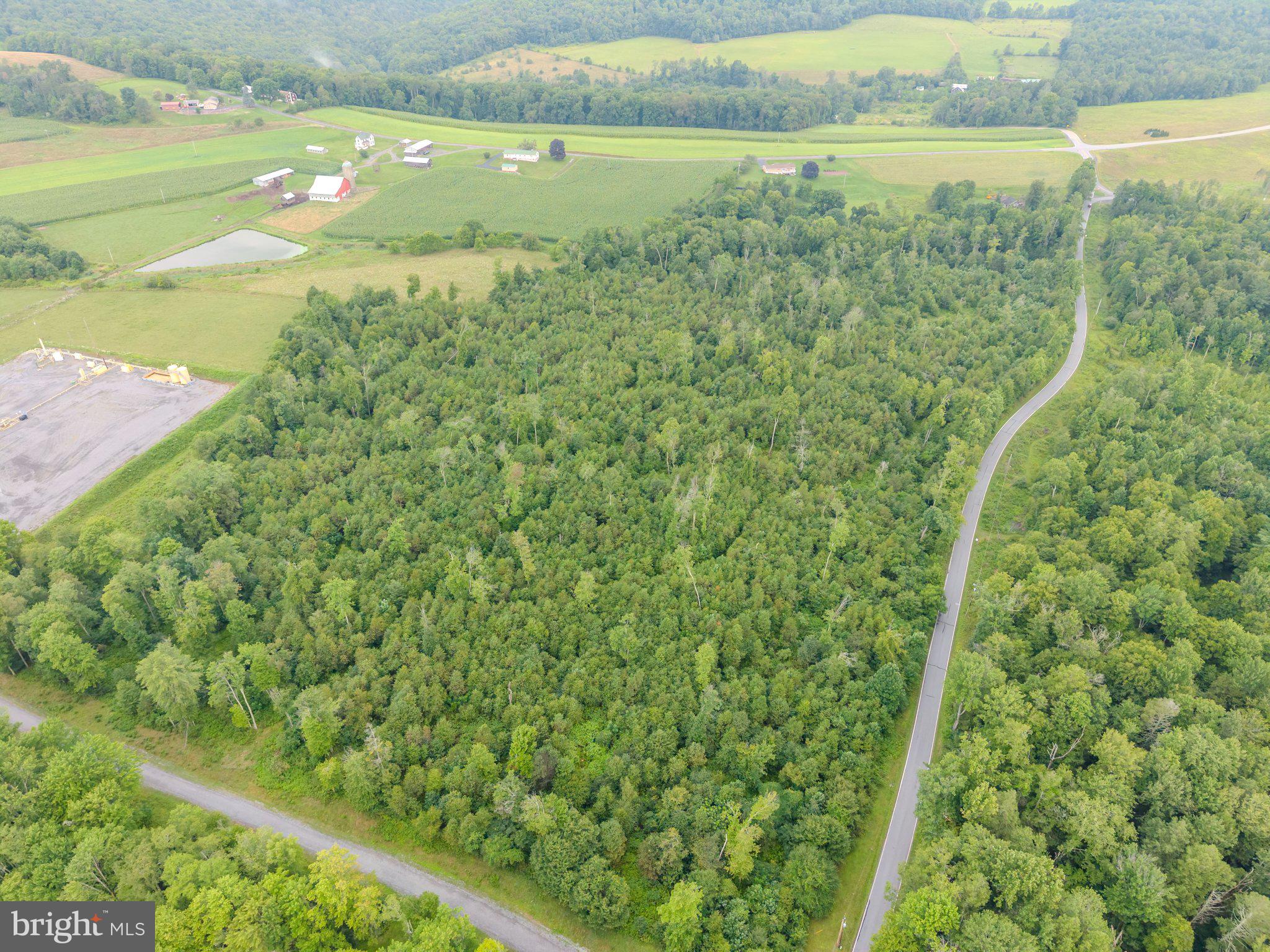 0 Rose Valley Road Trout Run, PA 17771 - Photo 1 of 5 Lush green landscape with winding roads.