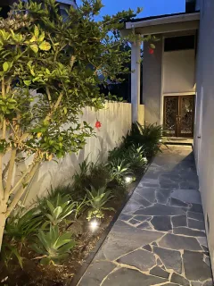 a front view of a house