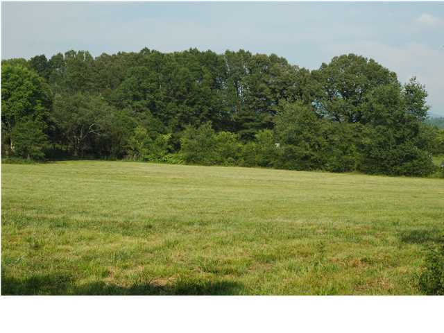 263 Daugherty Road Ocoee, TN 37361 - Photo 2 of 8 Additional Photo