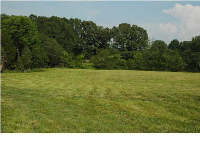 263 Daugherty Road Ocoee, TN 37361 - Photo 3 of 8 Additional Photo