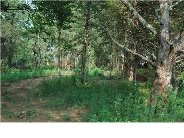 263 Daugherty Road Ocoee, TN 37361 - Photo 4 of 8 Additional Photo