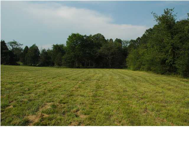 263 Daugherty Road Ocoee, TN 37361 - Photo 5 of 8 Additional Photo