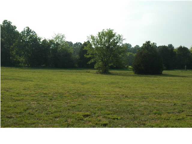 263 Daugherty Road Ocoee, TN 37361 - Photo 6 of 8 Additional Photo