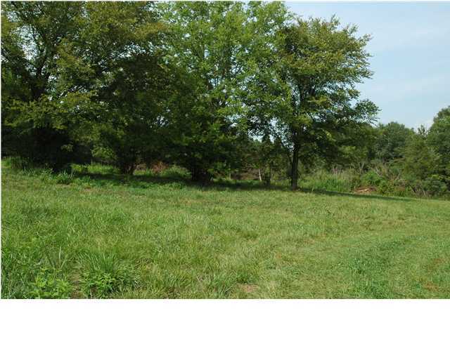 263 Daugherty Road Ocoee, TN 37361 - Photo 7 of 8 Additional Photo