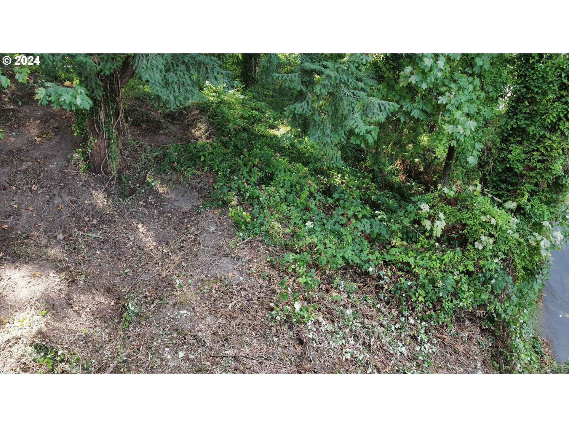 306 4th Avenue Oregon City, OR 97045 - Photo 14 of 17