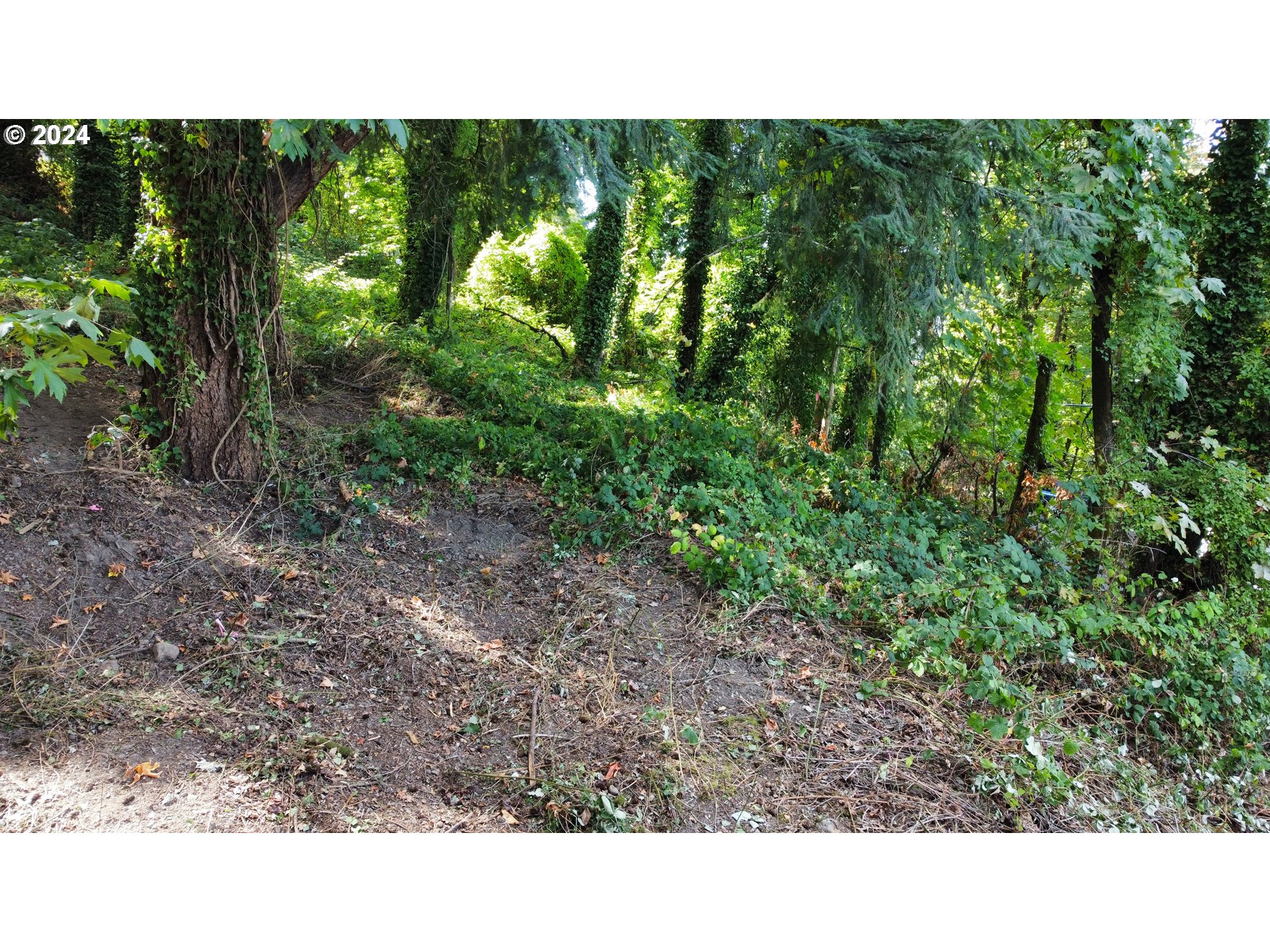 306 4th Avenue Oregon City, OR 97045 - Photo 15 of 17