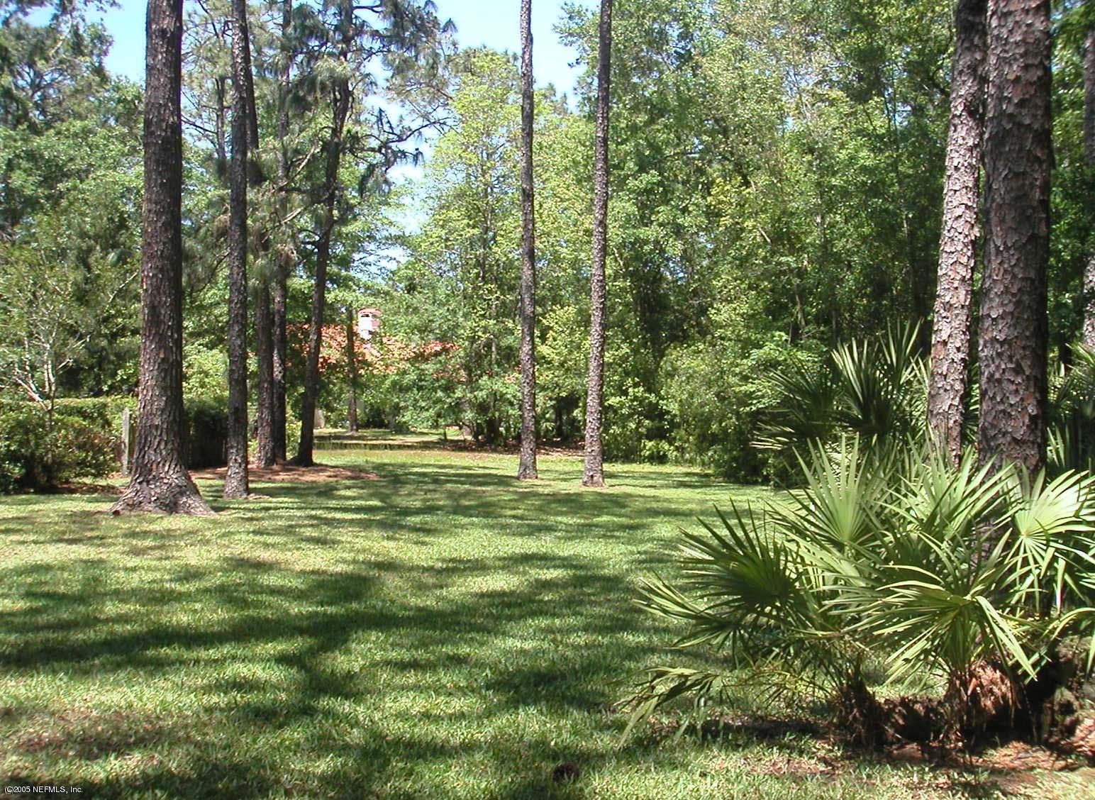 7653 Hunters Grove Road Jacksonville, FL 32256 - Photo 3 of 3 huge, wooded lot (backyard)