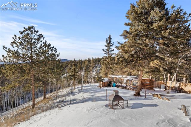 371 Rangeview Road Divide, CO 80814 - Photo 34 of 34 Backyard