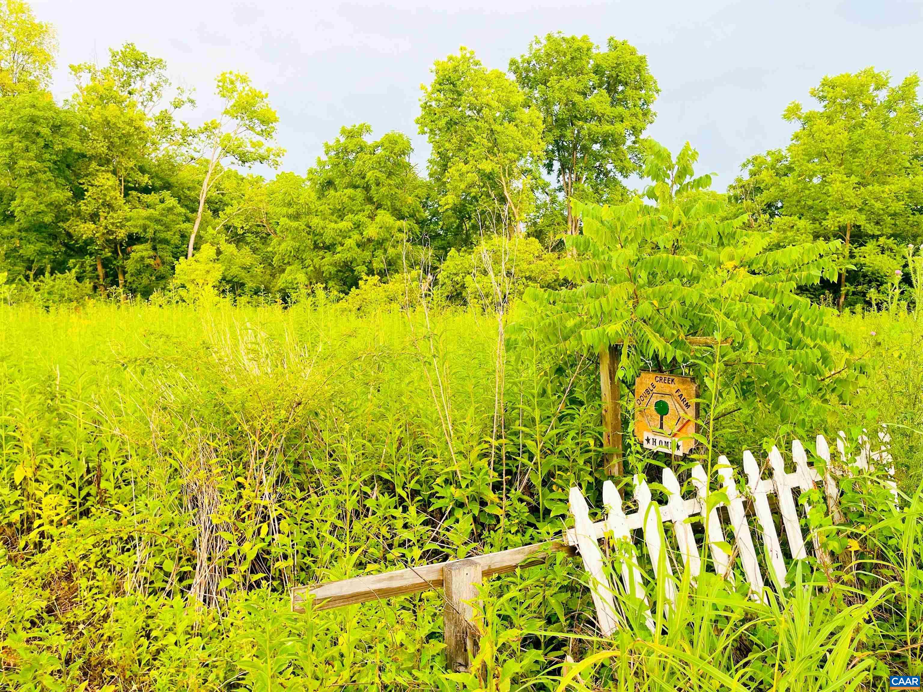 Lot 46 Rockfish Road Waynesboro, VA 22980 - Photo 2 of 3 Gallery Image 2