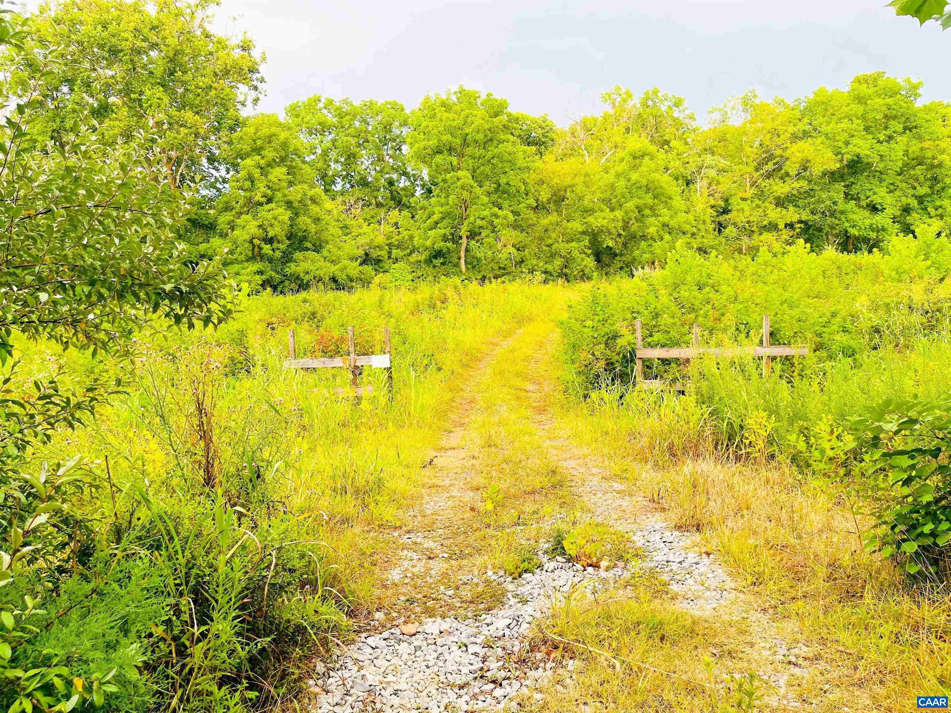 Lot 46 Rockfish Road Waynesboro, VA 22980 - Photo 3 of 3 Gallery Image 3