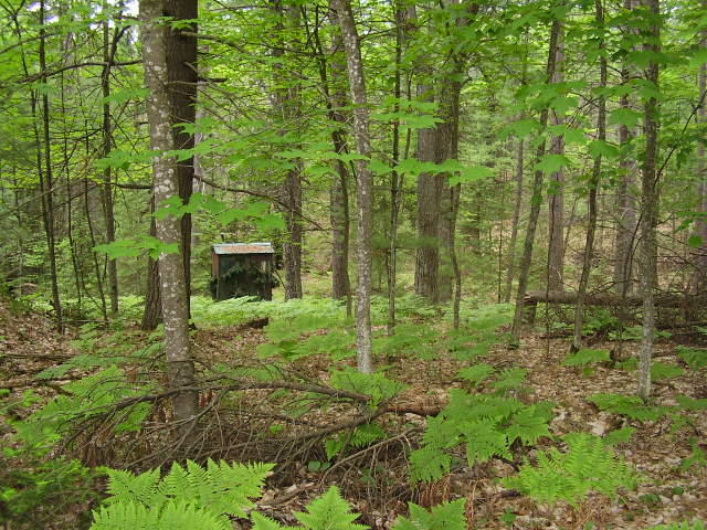 4094 Kneeland Road Lewiston, MI 49756 - Photo 14 of 18 Gallery Image 14