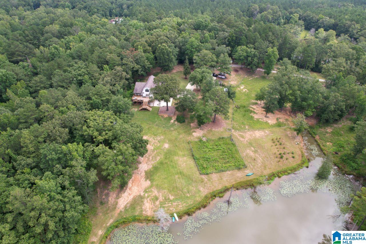 131 Lake Cottage Road Sterrett, AL 35147 - Photo 61 of 64