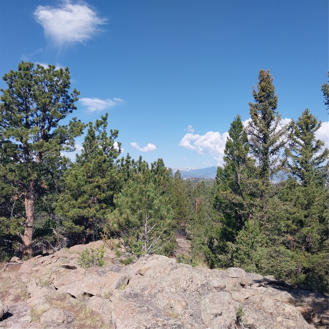 496 Houma Way Como, CO 80456 - Photo 14 of 21