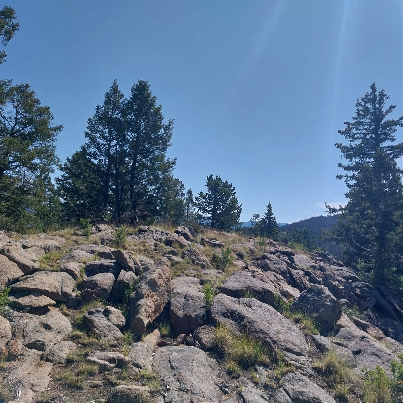 496 Houma Way Como, CO 80456 - Photo 15 of 21