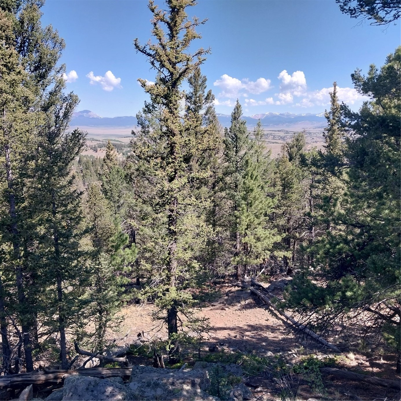 496 Houma Way Como, CO 80456 - Photo 16 of 21