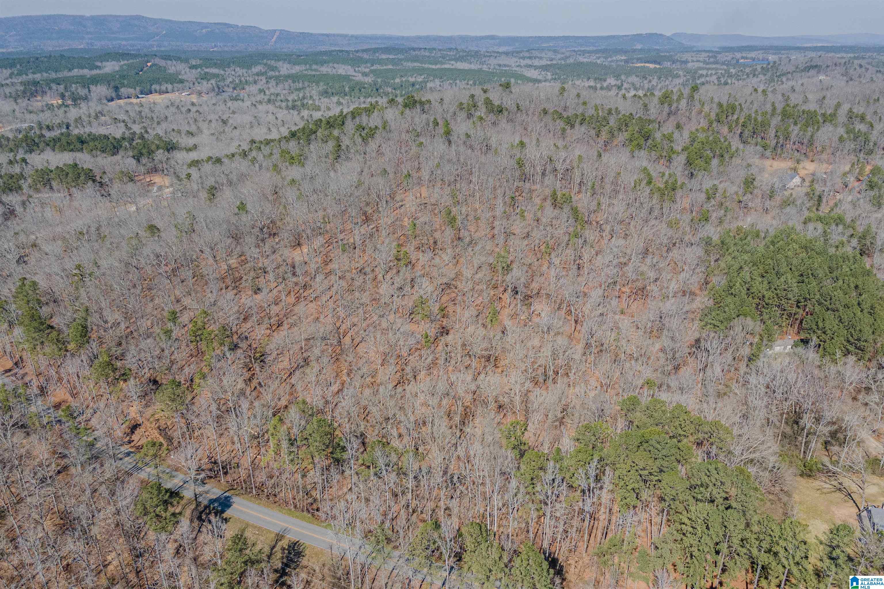 84 Rustic Drive, Unit 2 Harpersville, AL 35078 - Photo 18 of 23