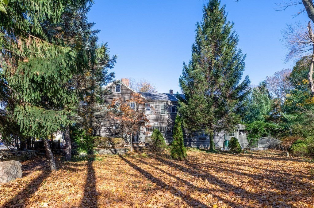 141 Hale Street, Unit 2 Beverly, MA 01915 - Photo 17 of 17 a view of a yard with plants and trees