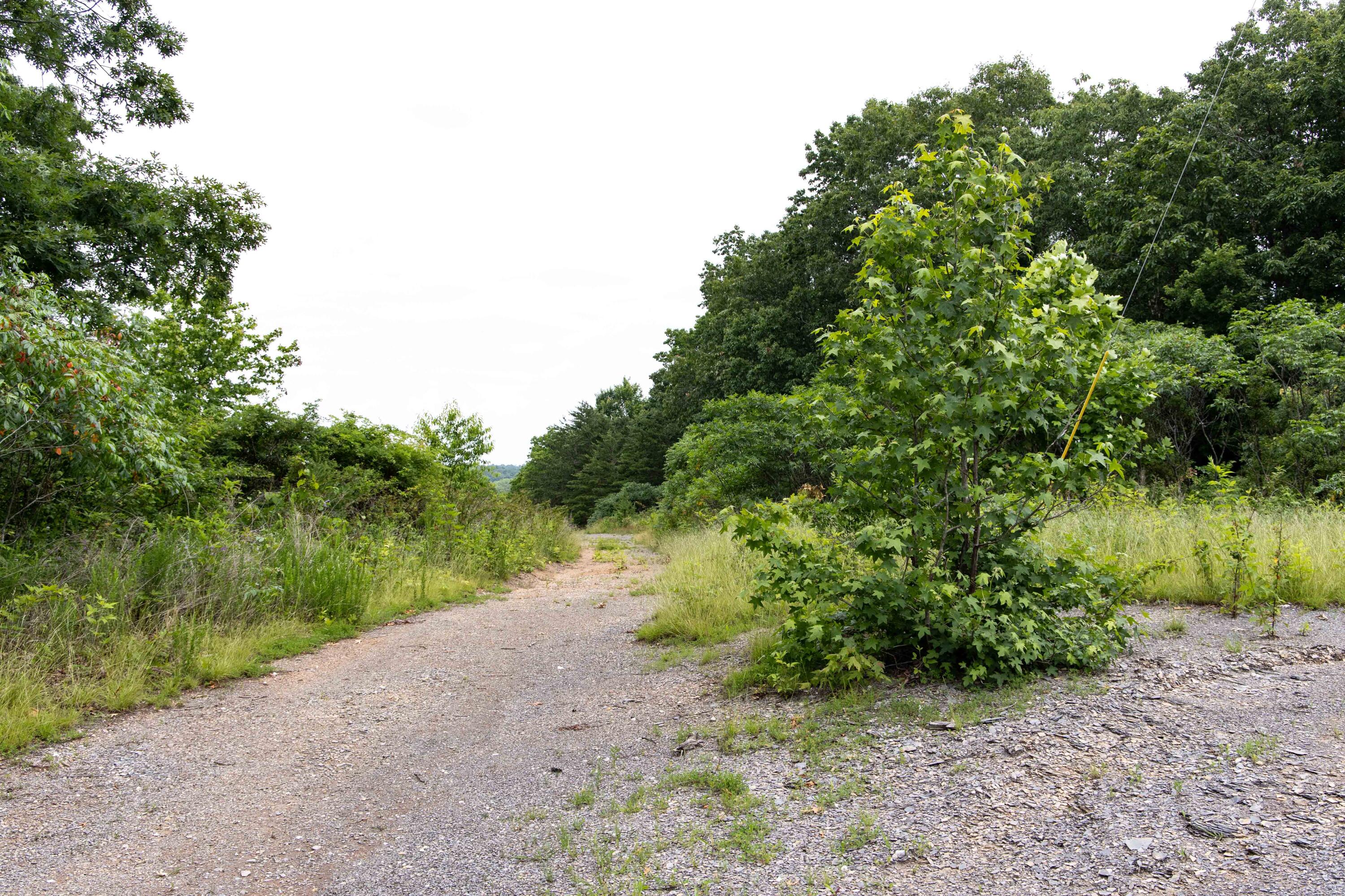 799 Hargett Road Irvine, KY 40336 - Photo 63 of 71 779Hargetroad-69